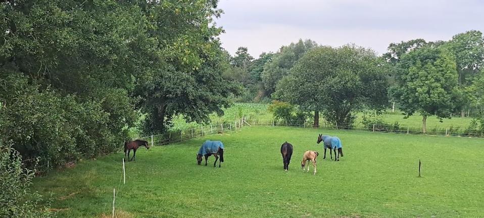 B&B De Blauwe Melkbus Harskamp Bagian luar foto